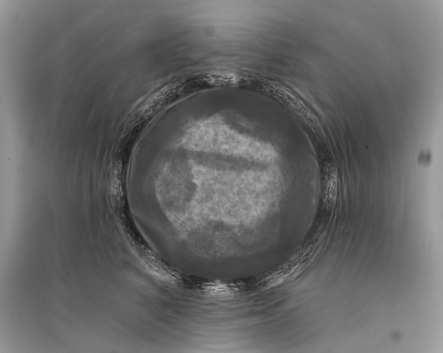 X0000094900616200712201136