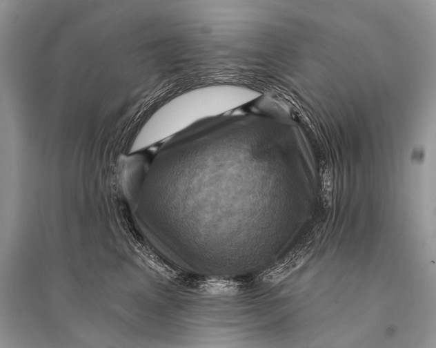 X0000094900617200712201136