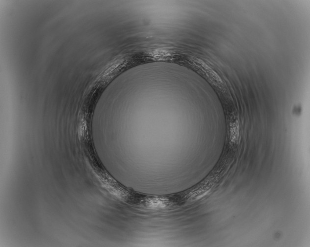 X0000094900618200712201136