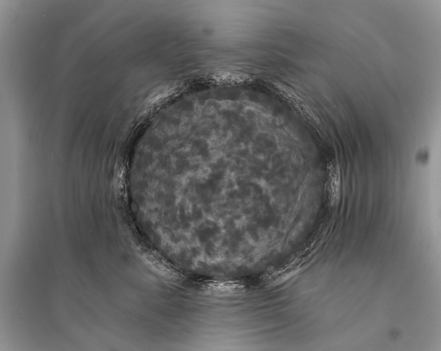 X0000094900619200712201136