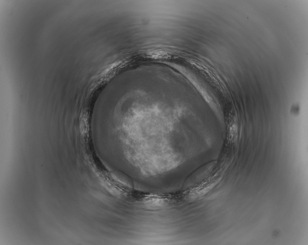 X0000094900620200712201136