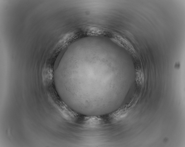 X0000094900621200712201136