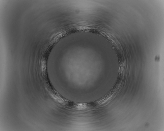 X0000094900623200712201136