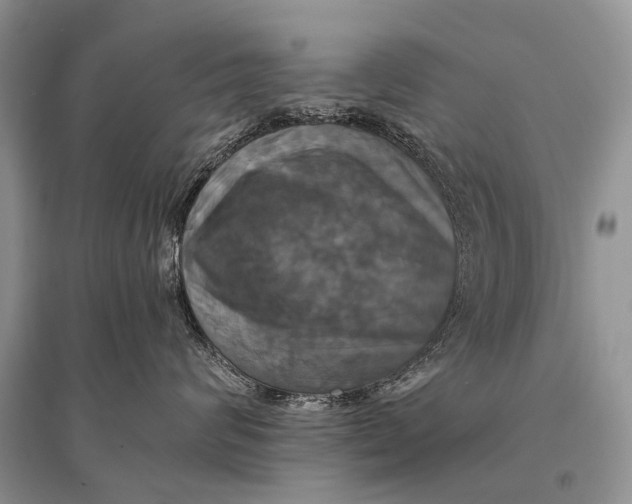 X0000094900624200712201136