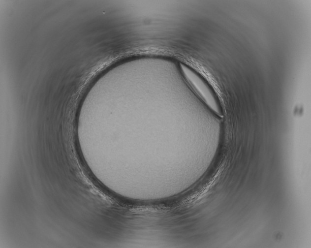 X0000094900625200712201135