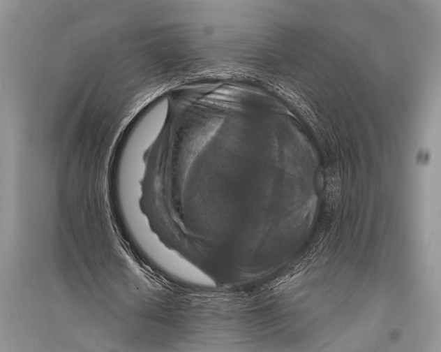 X0000094900626200712201135