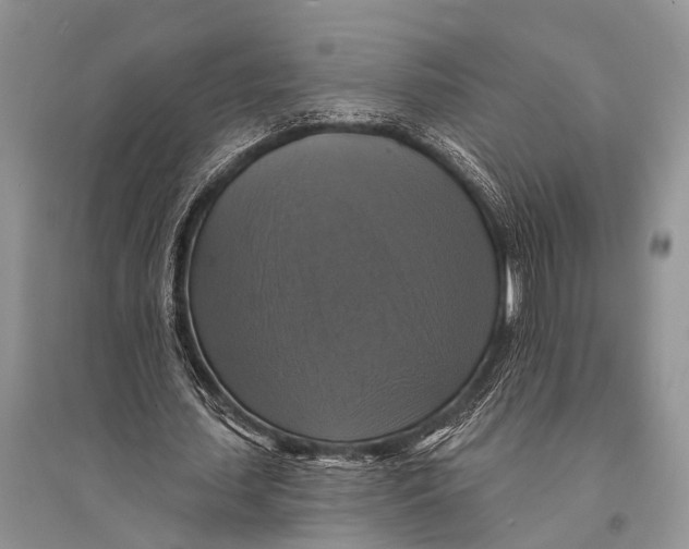 X0000094900627200712201135