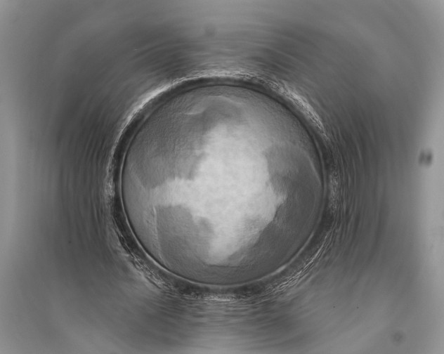 X0000094900628200712201135