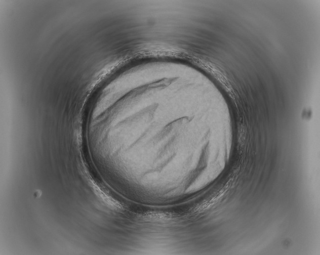 X0000094900629200712201135