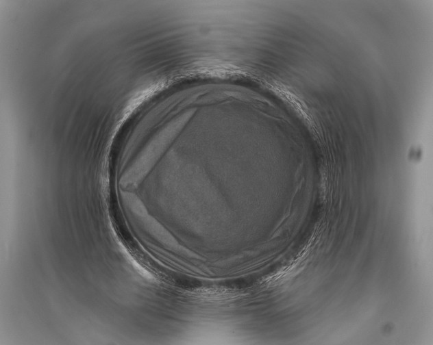 X0000094900630200712201135