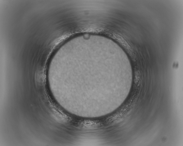 X0000094900632200712201135