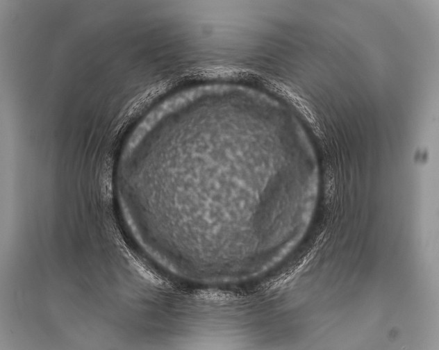 X0000094900633200712201135