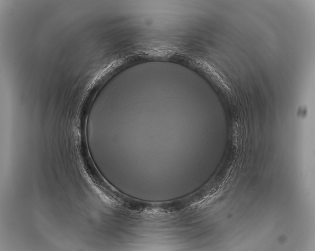 X0000094900634200712201135