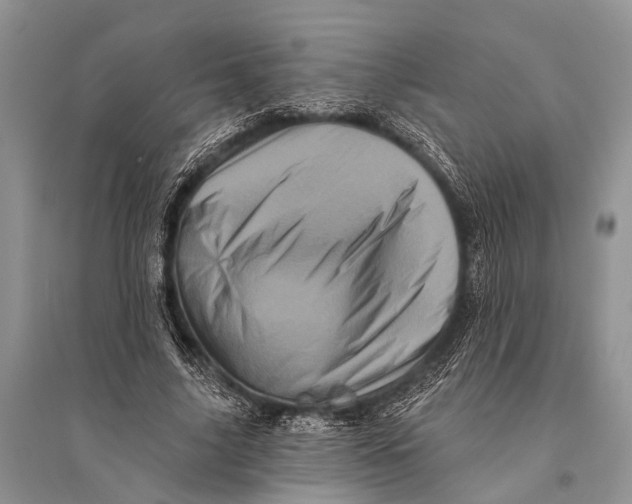 X0000094900635200712201135