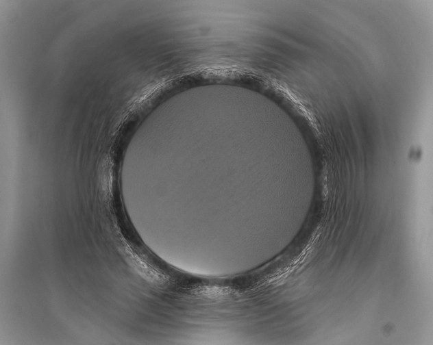 X0000094900637200712201135