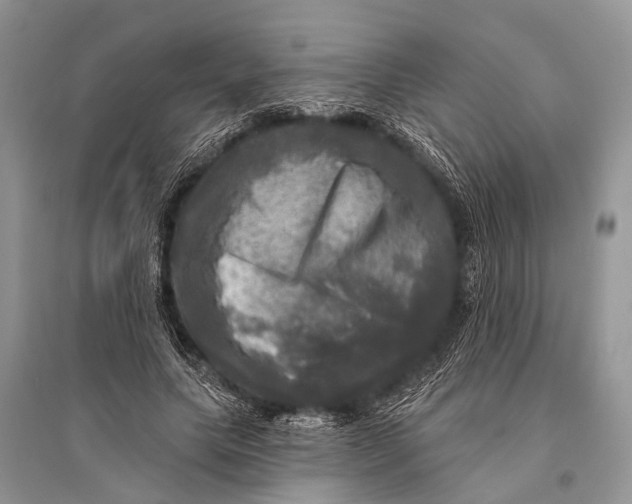 X0000094900639200712201135