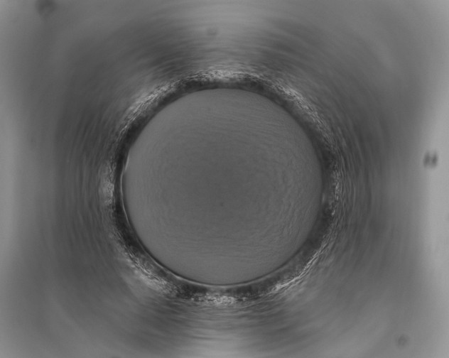 X0000094900640200712201135