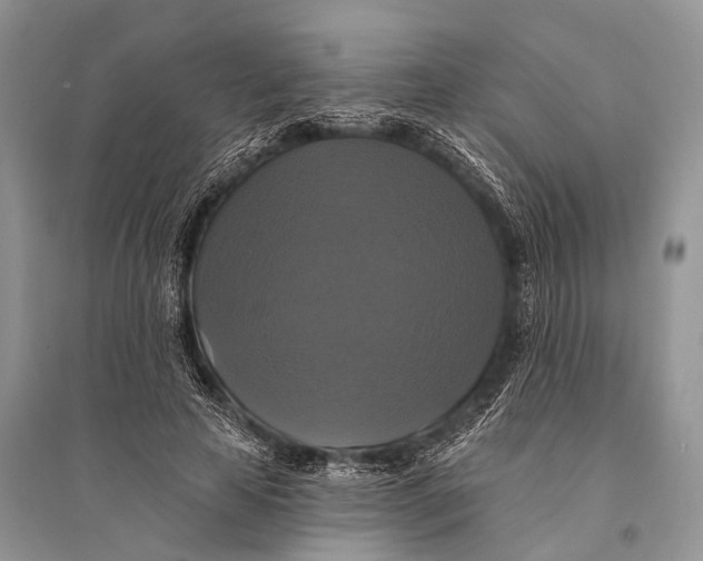 X0000094900641200712201135