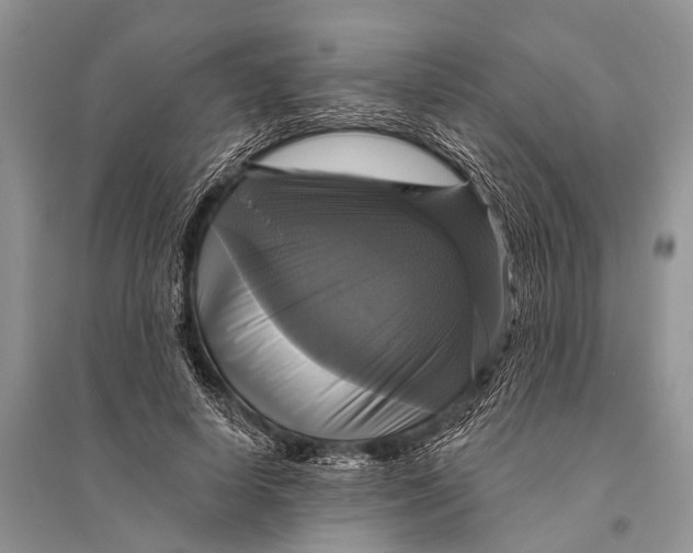 X0000094900642200712201135