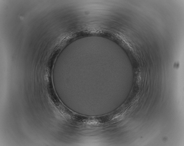 X0000094900643200712201135