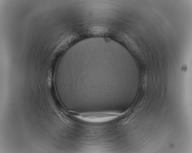 X0000094900644200712201135