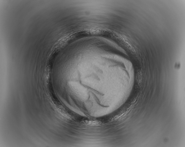 X0000094900645200712201135