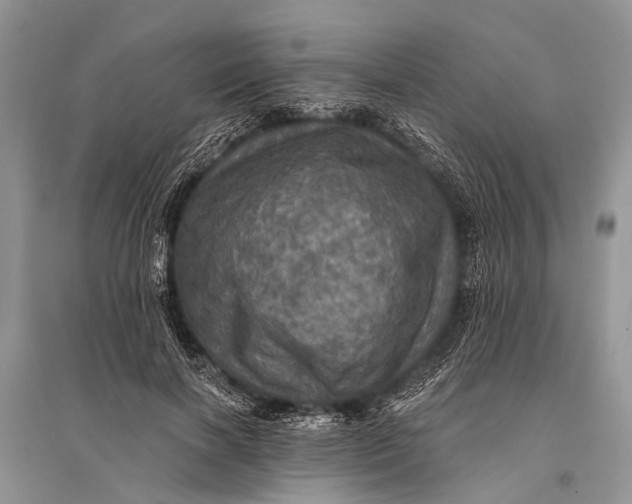 X0000094900646200712201135