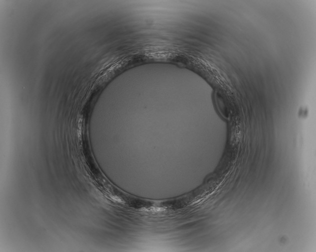 X0000094900647200712201135