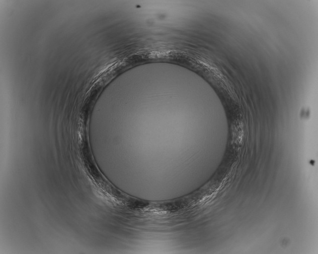 X0000094900648200712201135