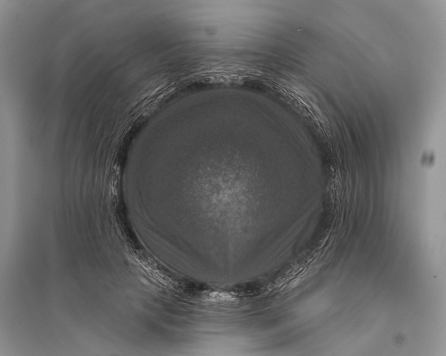 X0000094900649200712201135