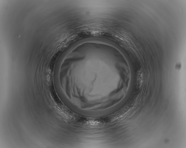 X0000094900650200712201135