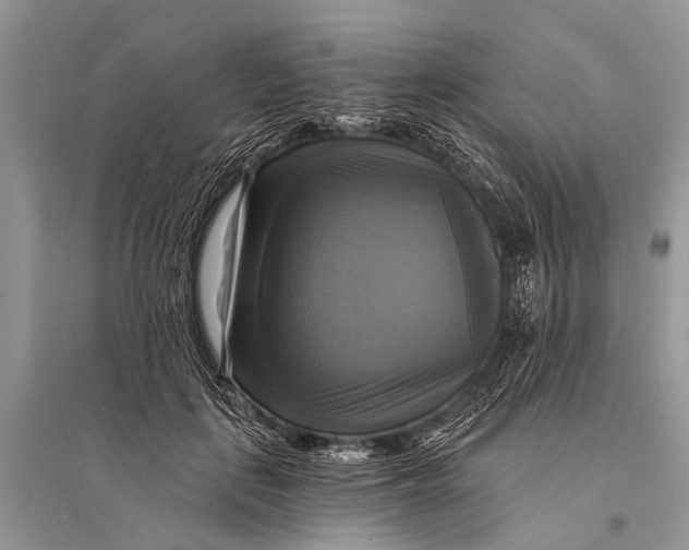 X0000094900651200712201135