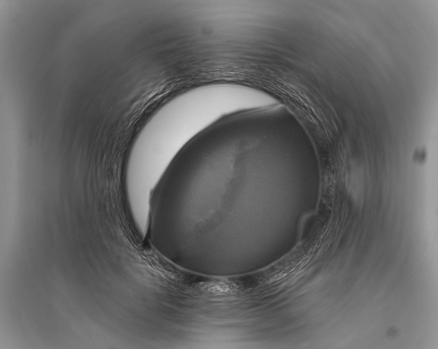 X0000094900652200712201135