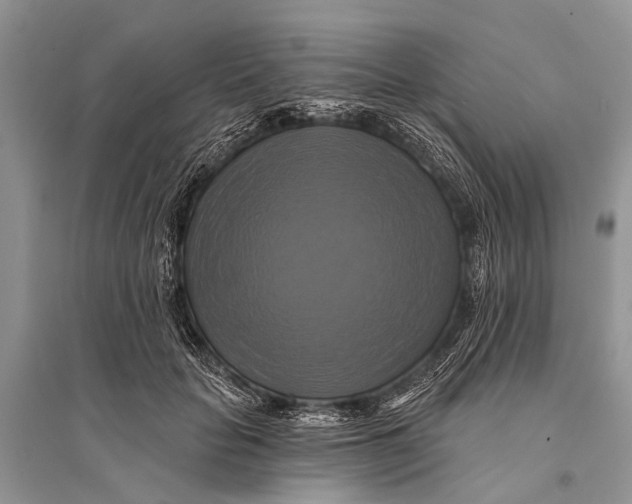 X0000094900653200712201135