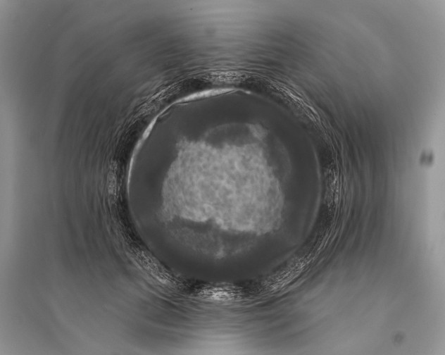 X0000094900655200712201135