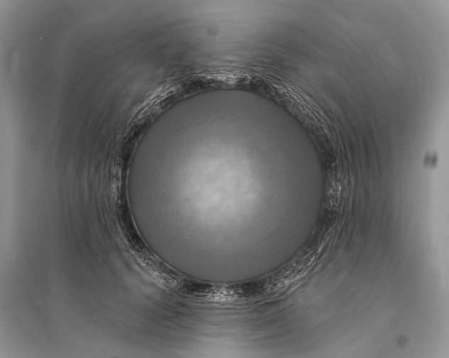 X0000094900656200712201135