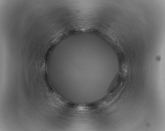 X0000094900657200712201135