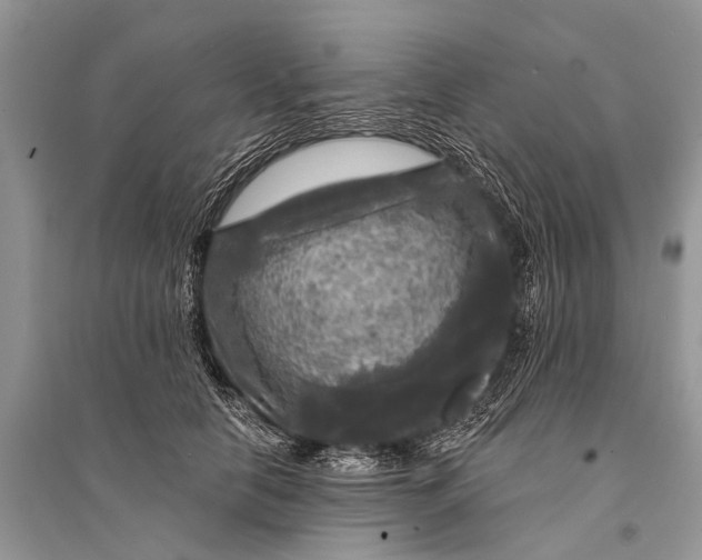 X0000094900658200712201135