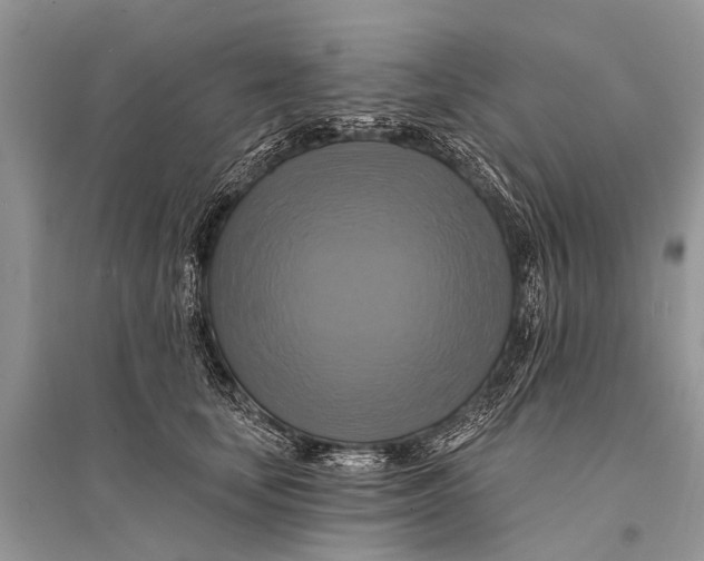 X0000094900659200712201135