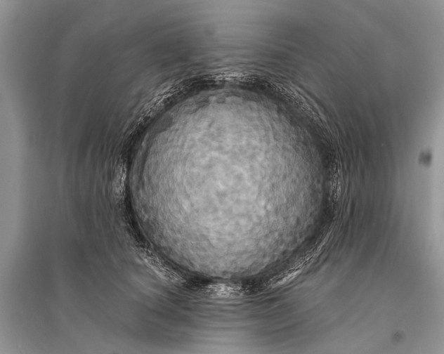 X0000094900660200712201135