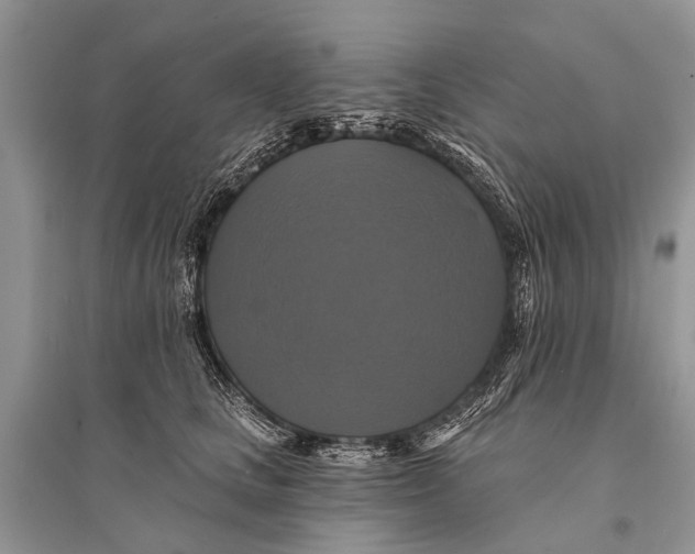 X0000094900661200712201135