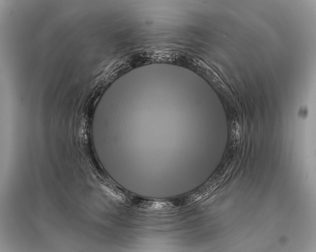 X0000094900663200712201135