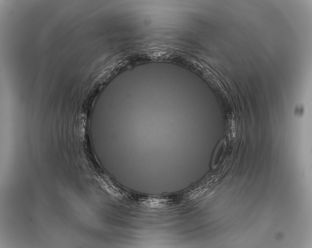 X0000094900664200712201135