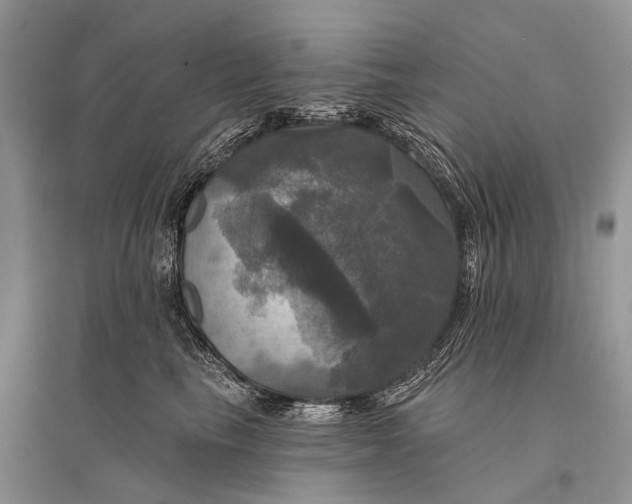 X0000094900665200712201135