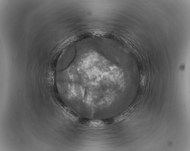 X0000094900666200712201136