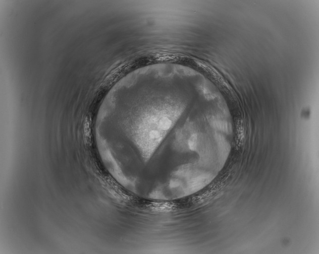 X0000094900667200712201136