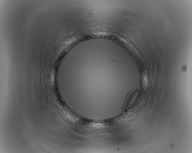 X0000094900668200712201136