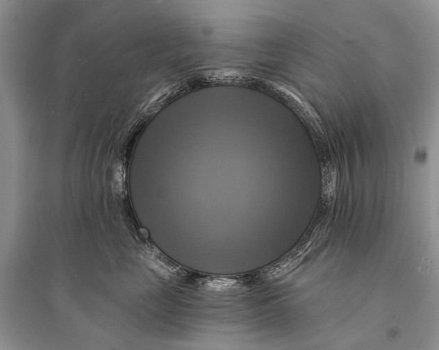 X0000094900669200712201136