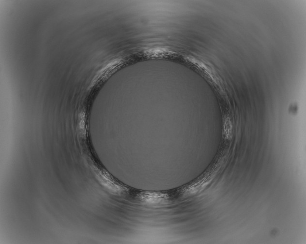 X0000094900670200712201136