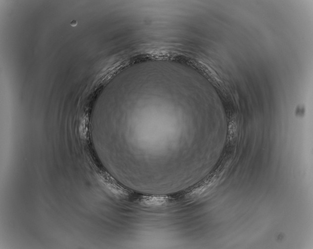 X0000094900671200712201136